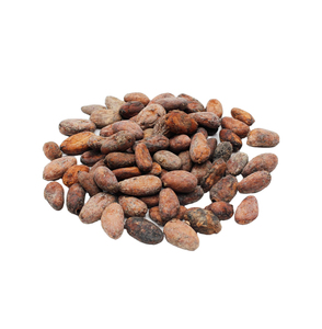 Wholesale Blended Organic Cocoa Beans Premium High Quality Cocoa Seeds