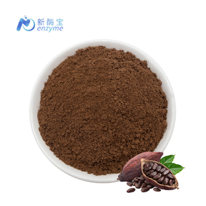 Bulk Alkalized Raw Cocoa Powder 25kg